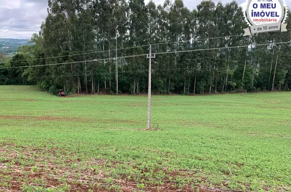 Sítio para venda,  na Comunidade do Rio Tuna, em Francisco Beltrão