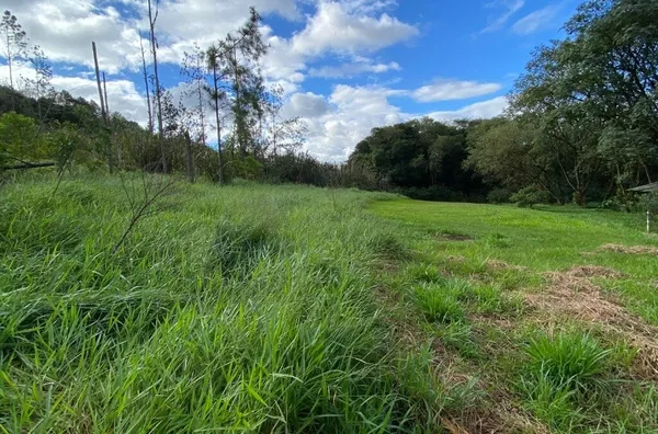 Sítio para venda,  Sessão São Miguel, Francisco Beltrão