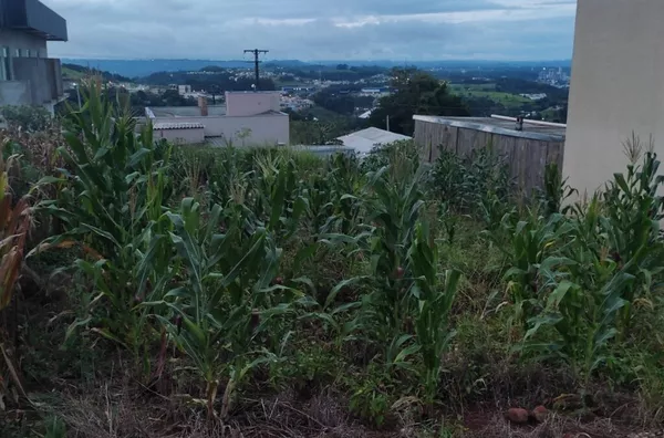 Terreno para venda,  Agua Branca, Marmeleiro