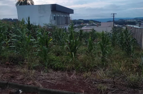 Terreno para venda,  Agua Branca, Marmeleiro