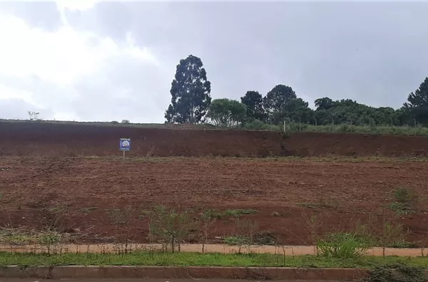 Terrenos com 1.000m² Localização previlegiada