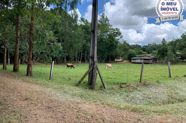 Sítio para venda,  Km 20, Francisco Beltrão