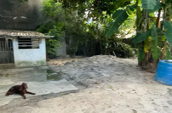 Terreno para venda,  Santana, Recife