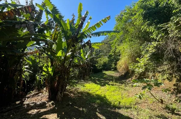 Terreno para venda,  São Pedro Da Serra, Nova Friburgo