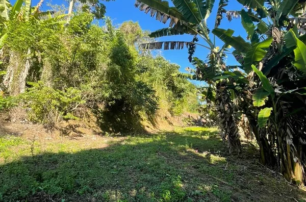 Terreno para venda,  São Pedro Da Serra, Nova Friburgo