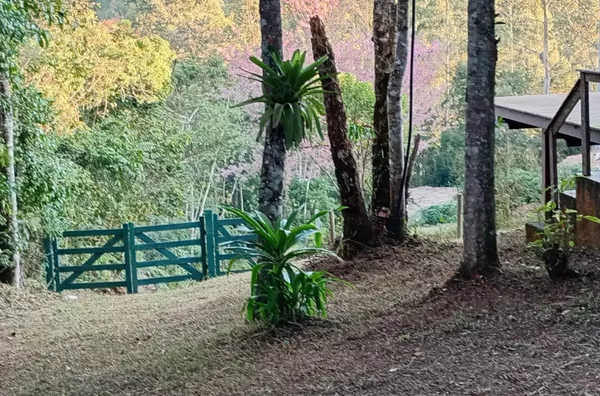 Casa para venda,  São Pedro Da Serra, Nova Friburgo