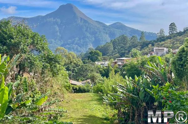 Casa para venda,  Cônego, Nova Friburgo
