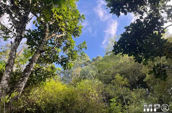 Sítio com 20 mil metros,  Lumiar, Nova Friburgo