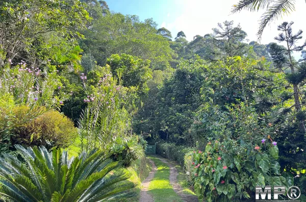 Sítio com 20 mil metros,  Lumiar, Nova Friburgo