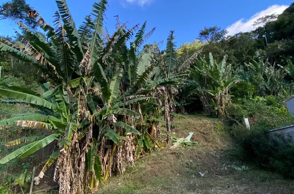 Terreno para venda, Boa Esperança, Lumiar - Rio de Janeiro