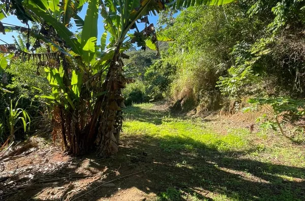 Terreno para venda,  São Pedro Da Serra, Nova Friburgo