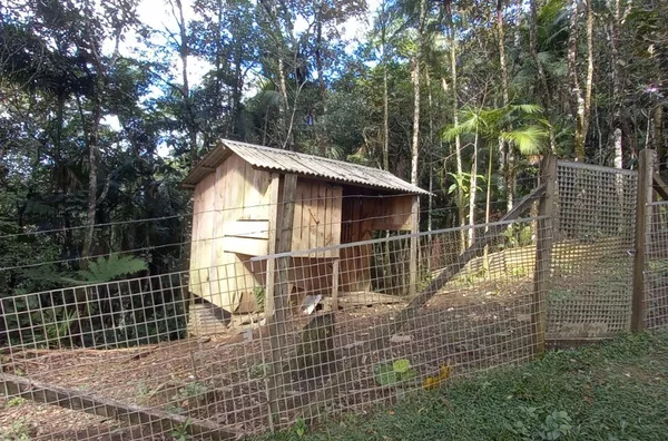 Sítio em São Pedro De Alcântara/SC - Foto 11