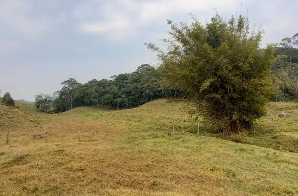 Sítio para venda,  Cubatão, São Pedro De Alcântara