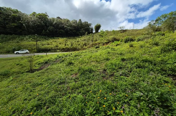 Terreno em São Pedro De Alcântara