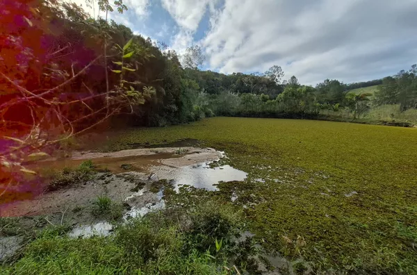 SÍTIO COM 12 HECTARES, MUITA ÁGUA E NATUREZA EM SANTA FILOMENA – SÃO PEDRO DE ALCÂNTARA - Foto 22