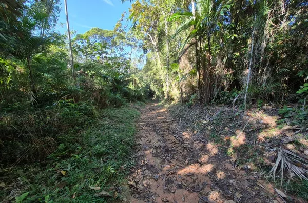 Sítio para venda em São Pedro De Alcântara/SC