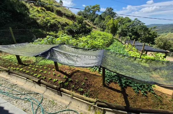 Sítio para venda em São Pedro De Alcântara/SC