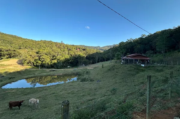 Sítio para , 3 quarto(s),  Santa Filomena, São Pedro De Alcântara