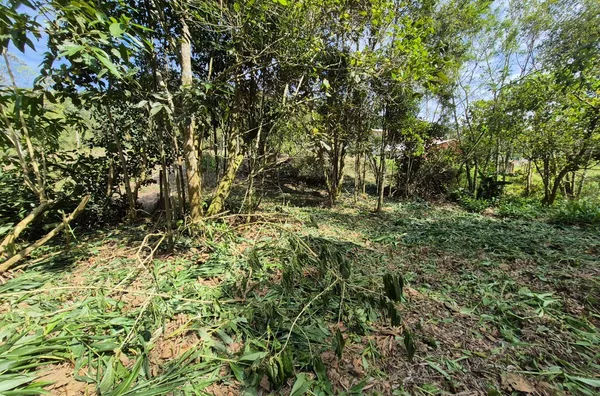 TERRENO URBANO À VENDA – CUBATÃO, SÃO PEDRO DE ALCÂNTARA