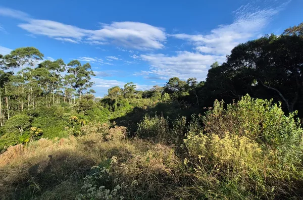 Sítio para venda em São Pedro De Alcântara/SC