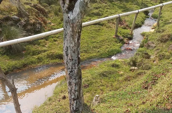 Sítio para venda em São Pedro De Alcântara/SC