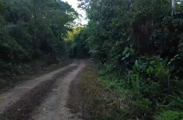 Sítio para venda em São Pedro De Alcântara/SC