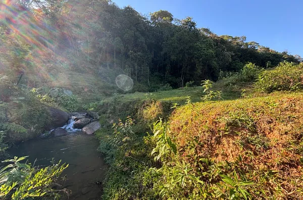 Sítio para venda, Santa Filomena, São Pedro De Alcântara - Foto 17