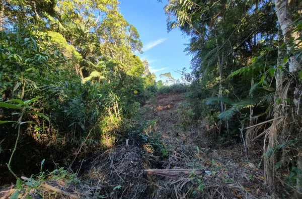 Sítio para venda em São Pedro De Alcântara/SC