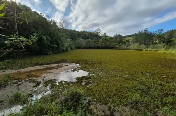 SÍTIO COM 12 HECTARES, MUITA ÁGUA E NATUREZA EM SANTA FILOMENA – SÃO PEDRO DE ALCÂNTARA - Foto 25
