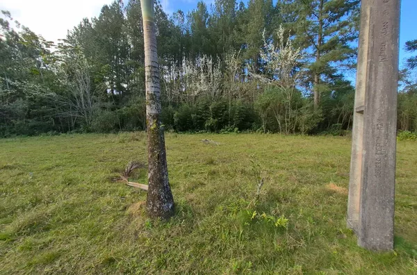 SÍTIO COM 12 HECTARES, MUITA ÁGUA E NATUREZA EM SANTA FILOMENA – SÃO PEDRO DE ALCÂNTARA - Foto 9