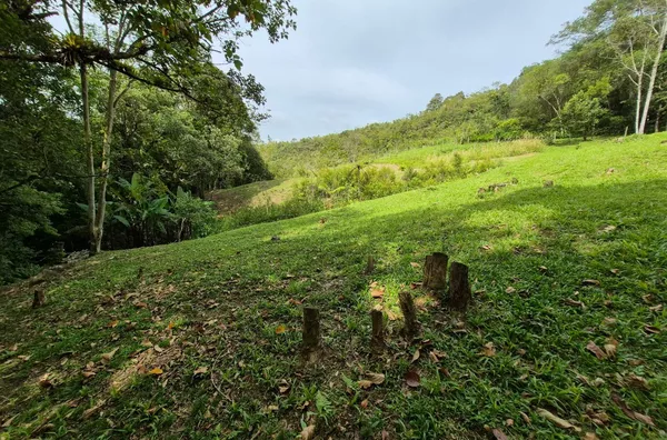 Sítio em São Pedro De Alcântara