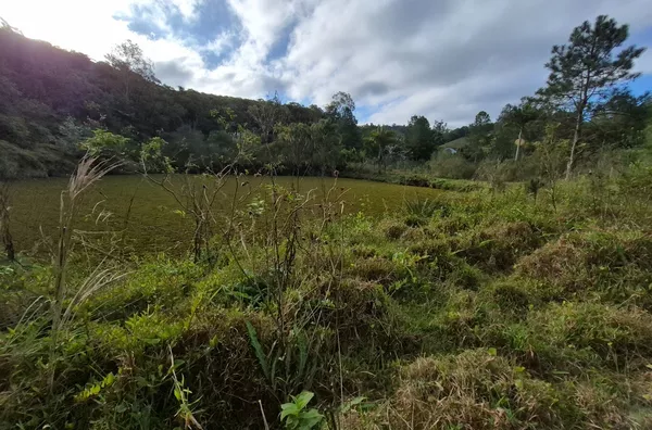 SÍTIO COM 12 HECTARES, MUITA ÁGUA E NATUREZA EM SANTA FILOMENA – SÃO PEDRO DE ALCÂNTARA - Foto 24