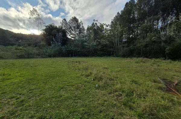 SÍTIO COM 12 HECTARES, MUITA ÁGUA E NATUREZA EM SANTA FILOMENA – SÃO PEDRO DE ALCÂNTARA - Foto 8
