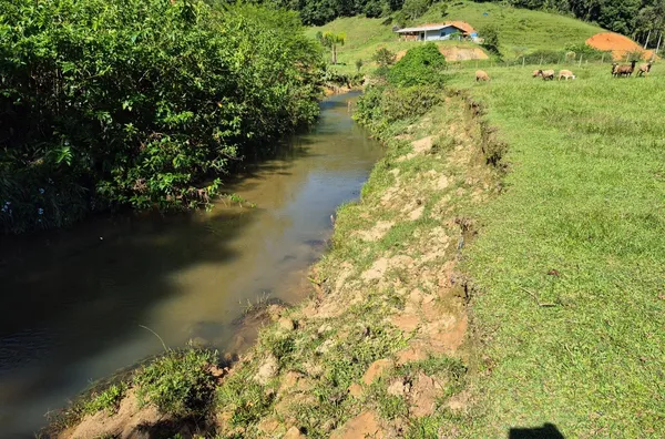 Sítio para venda em São Pedro De Alcântara/SC