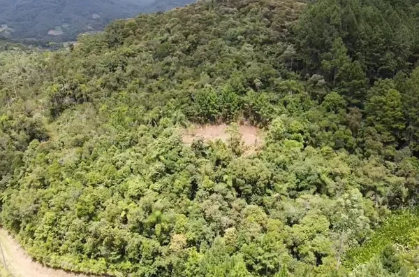 Sítio para venda em São Pedro de Alcântara/SC