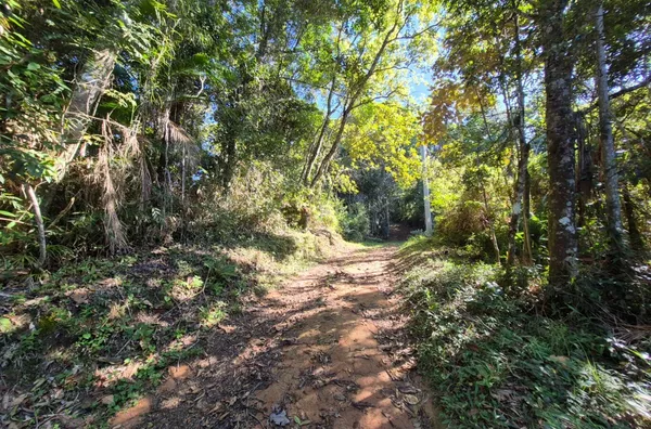 Sítio para venda em São Pedro De Alcântara/SC