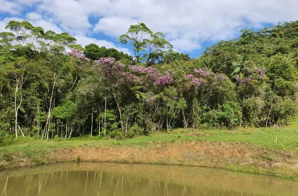 Sítio para venda em São Pedro De Alcântara/SC