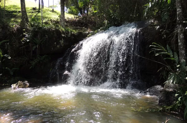 Sítio para venda em São Pedro De Alcântara/SC
