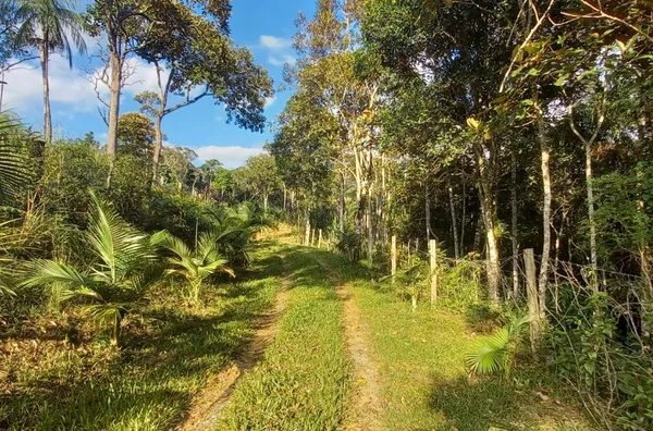 Sítio em São Pedro De Alcântara/SC
