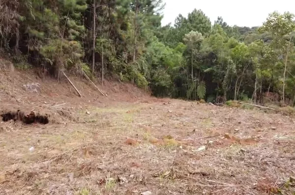 Sítio para venda em São Pedro de Alcântara/SC