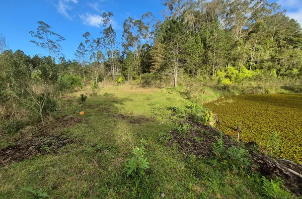 SÍTIO COM 12 HECTARES, MUITA ÁGUA E NATUREZA EM SANTA FILOMENA – SÃO PEDRO DE ALCÂNTARA - Foto 28