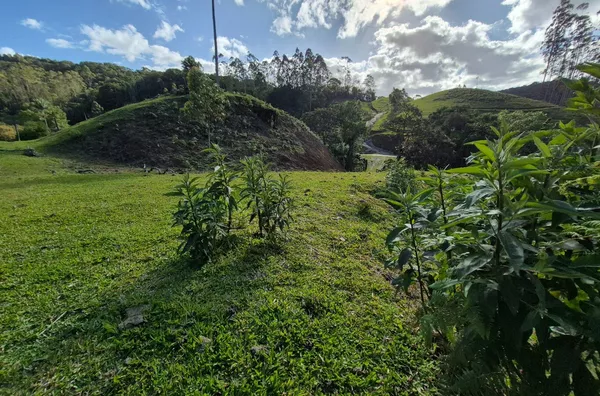 Sítio para venda em São Pedro De Alcântara/SC
