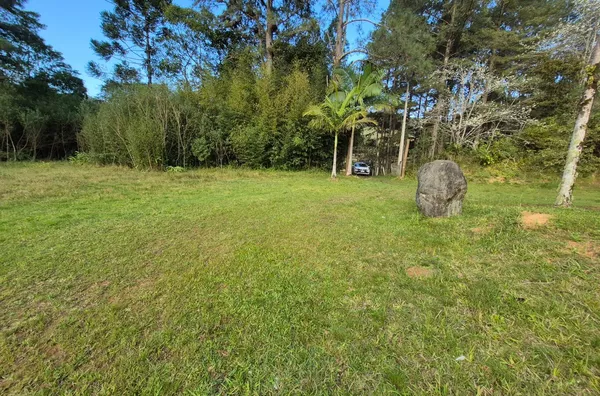 SÍTIO COM 12 HECTARES, MUITA ÁGUA E NATUREZA EM SANTA FILOMENA – SÃO PEDRO DE ALCÂNTARA - Foto 11
