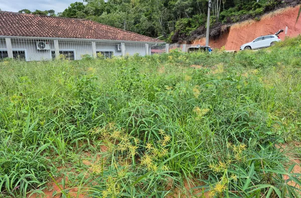 Terreno para venda no centro de São Pedro De Alcântara/SC