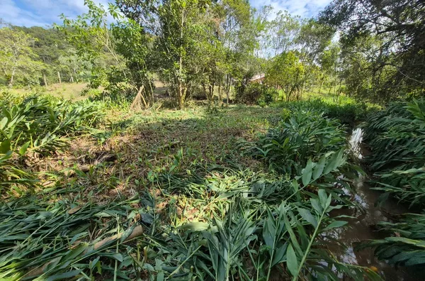 TERRENO URBANO À VENDA – CUBATÃO, SÃO PEDRO DE ALCÂNTARA - Foto 7