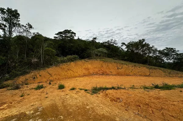 Sítio para venda em São Pedro De Alcântara/SC