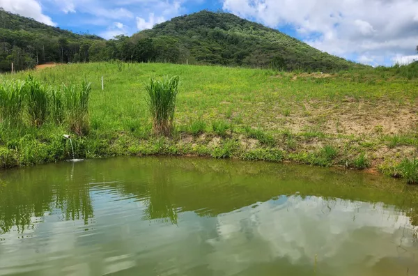 Sítio para venda em São Pedro De Alcântara/SC