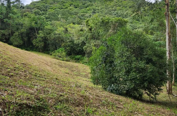Sítio para venda em São Pedro De Alcântara/SC