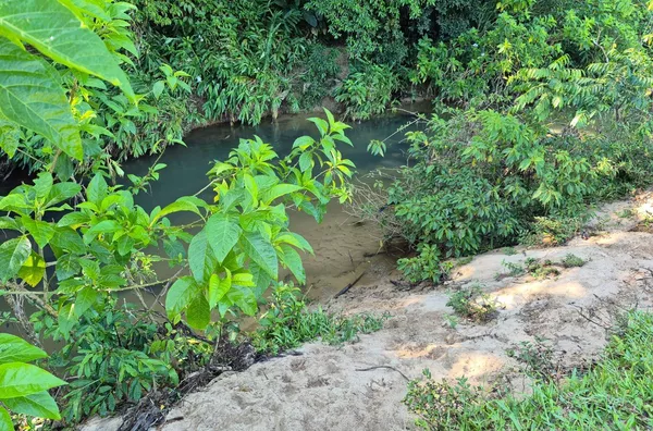 Sítio para venda em São Pedro De Alcântara/SC