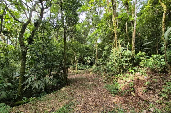 Sítio em São Pedro De Alcântara